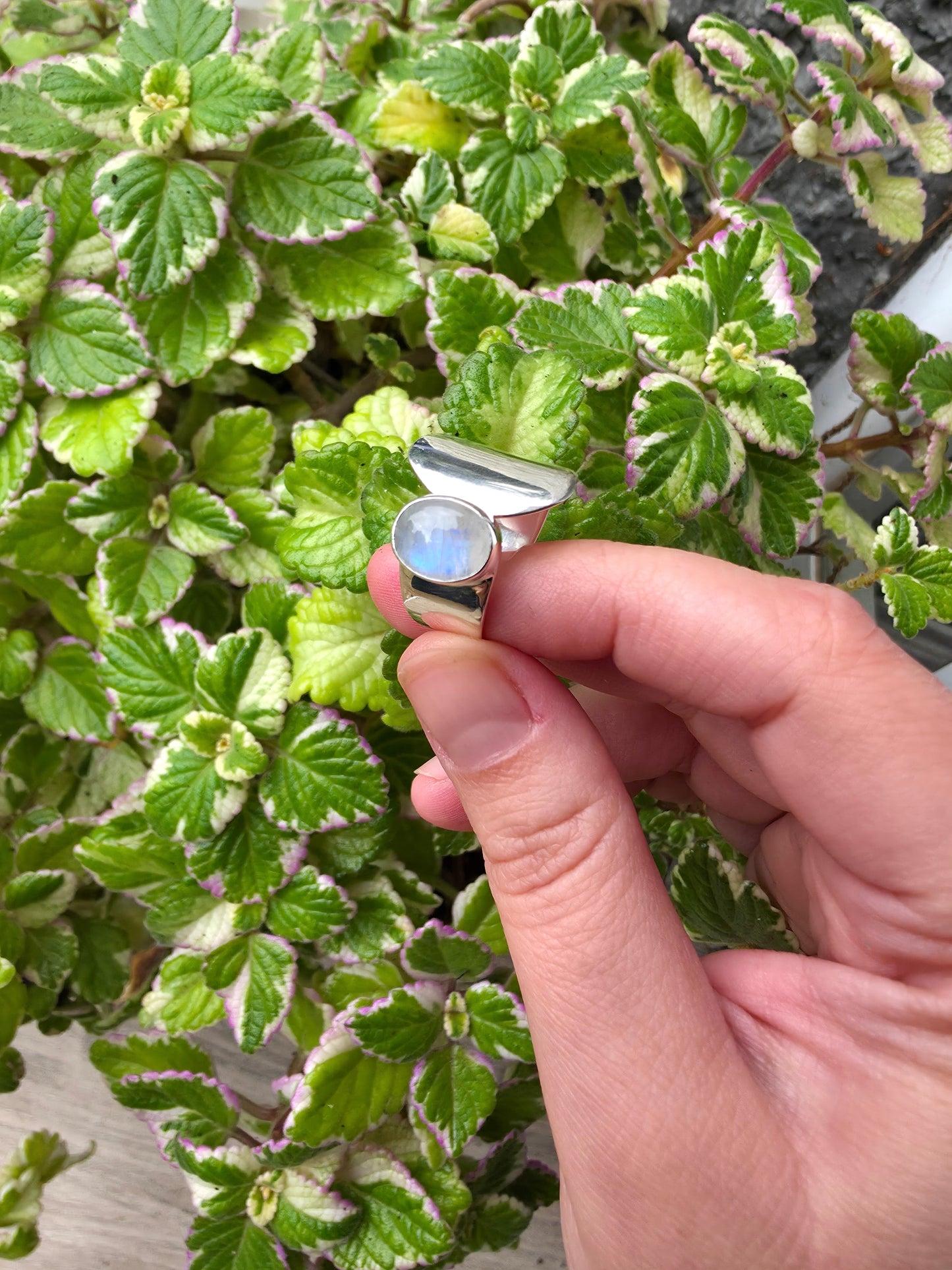 Anillo ajustable de piedra luna para armonía y bienestar emocional