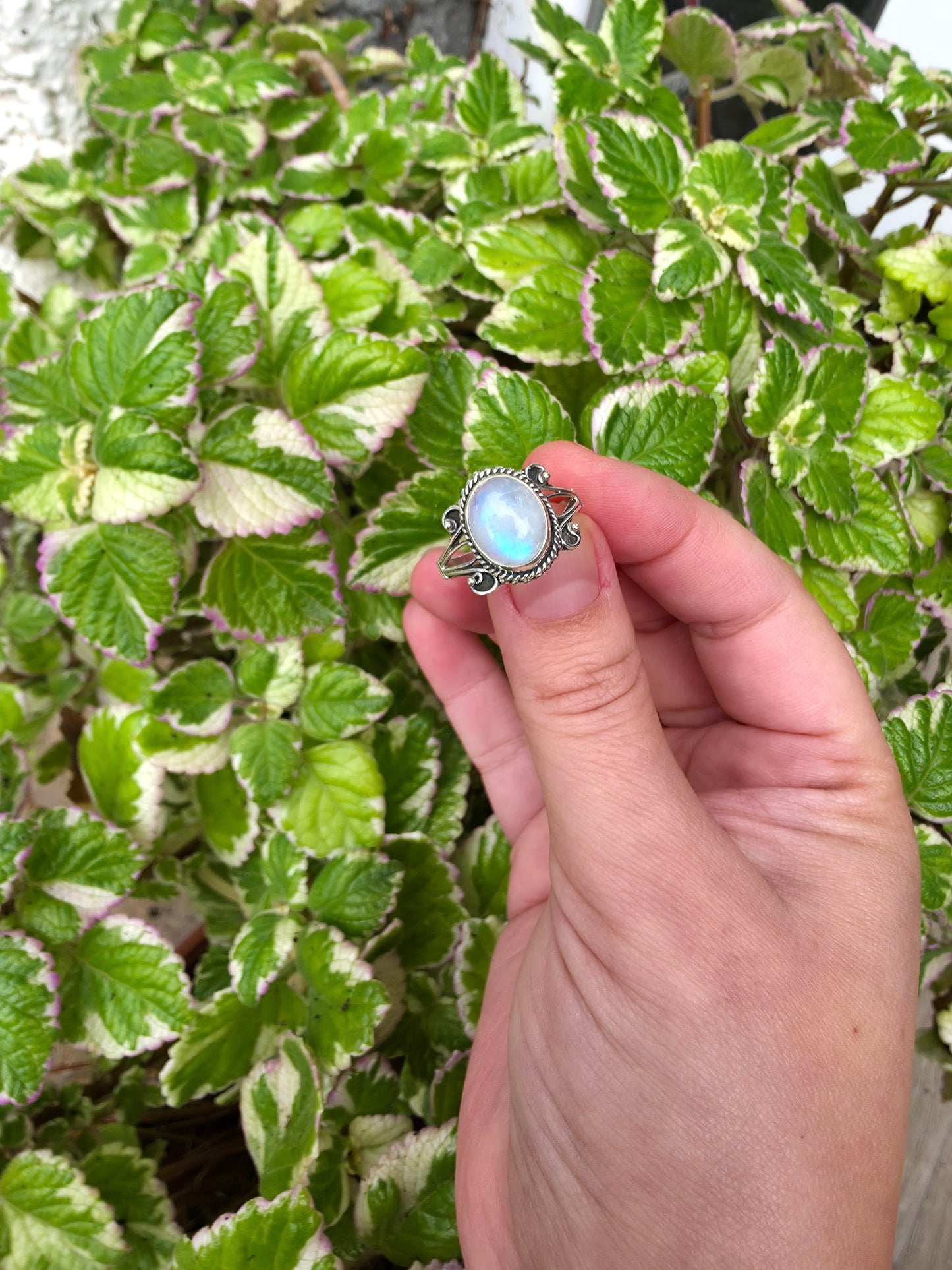 Anillo de plata con piedra luna, armonía y energía positiva