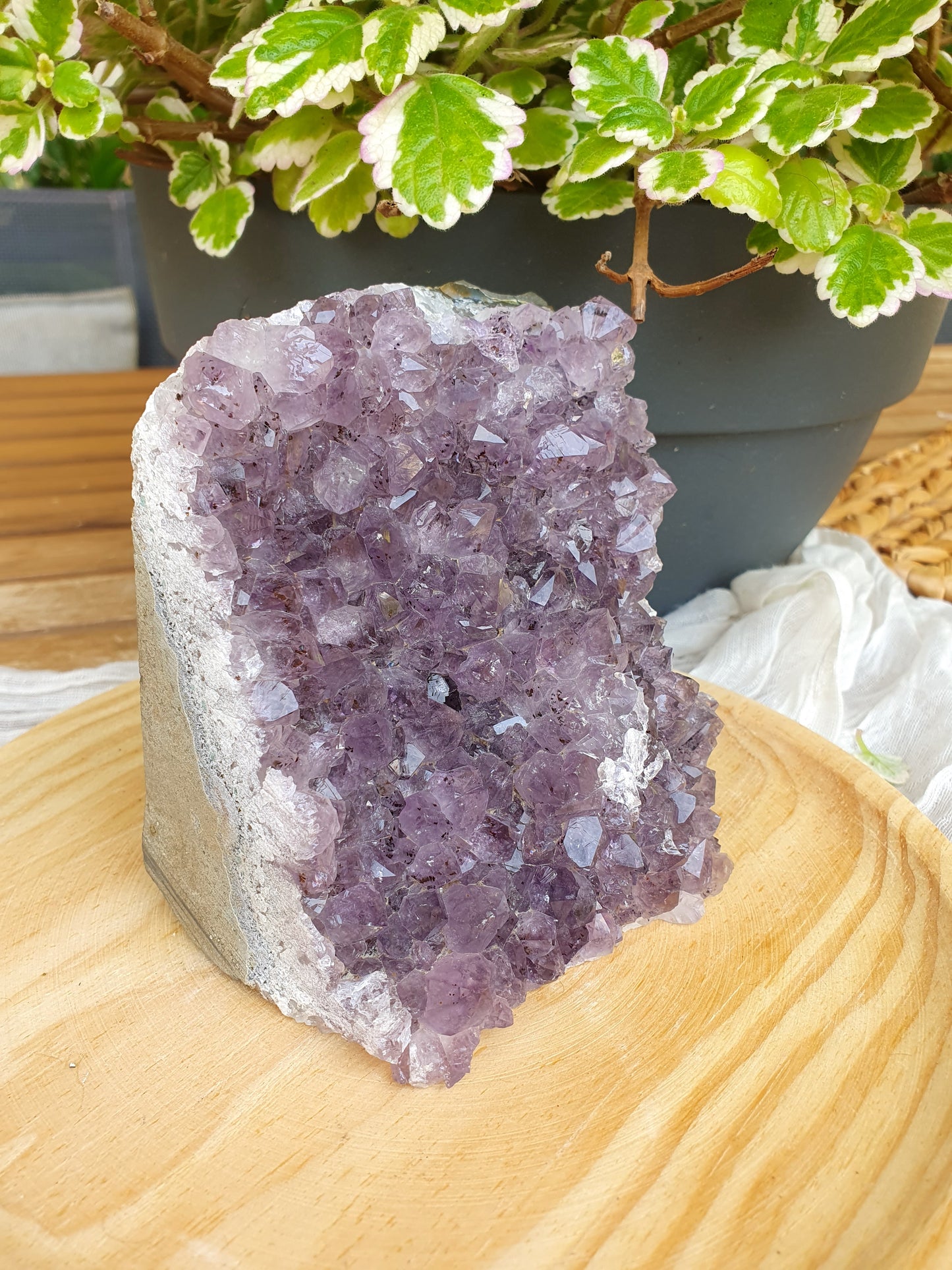 Drusa de Amatista Natural en Bruto – Calidad A+ (600 a 1200 g)