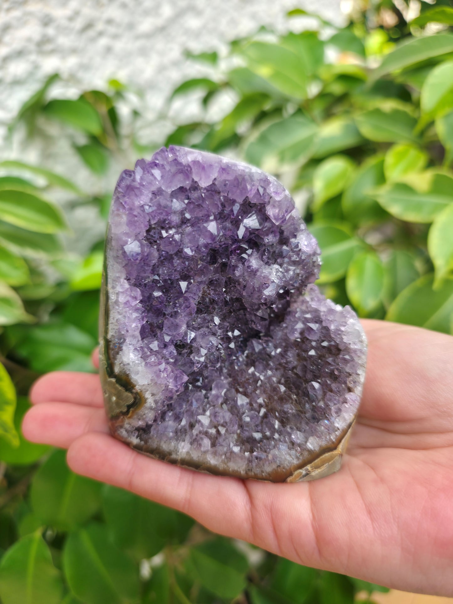 Drusa de Amatista Natural en Bruto – Calidad AA (200 a 700 g)