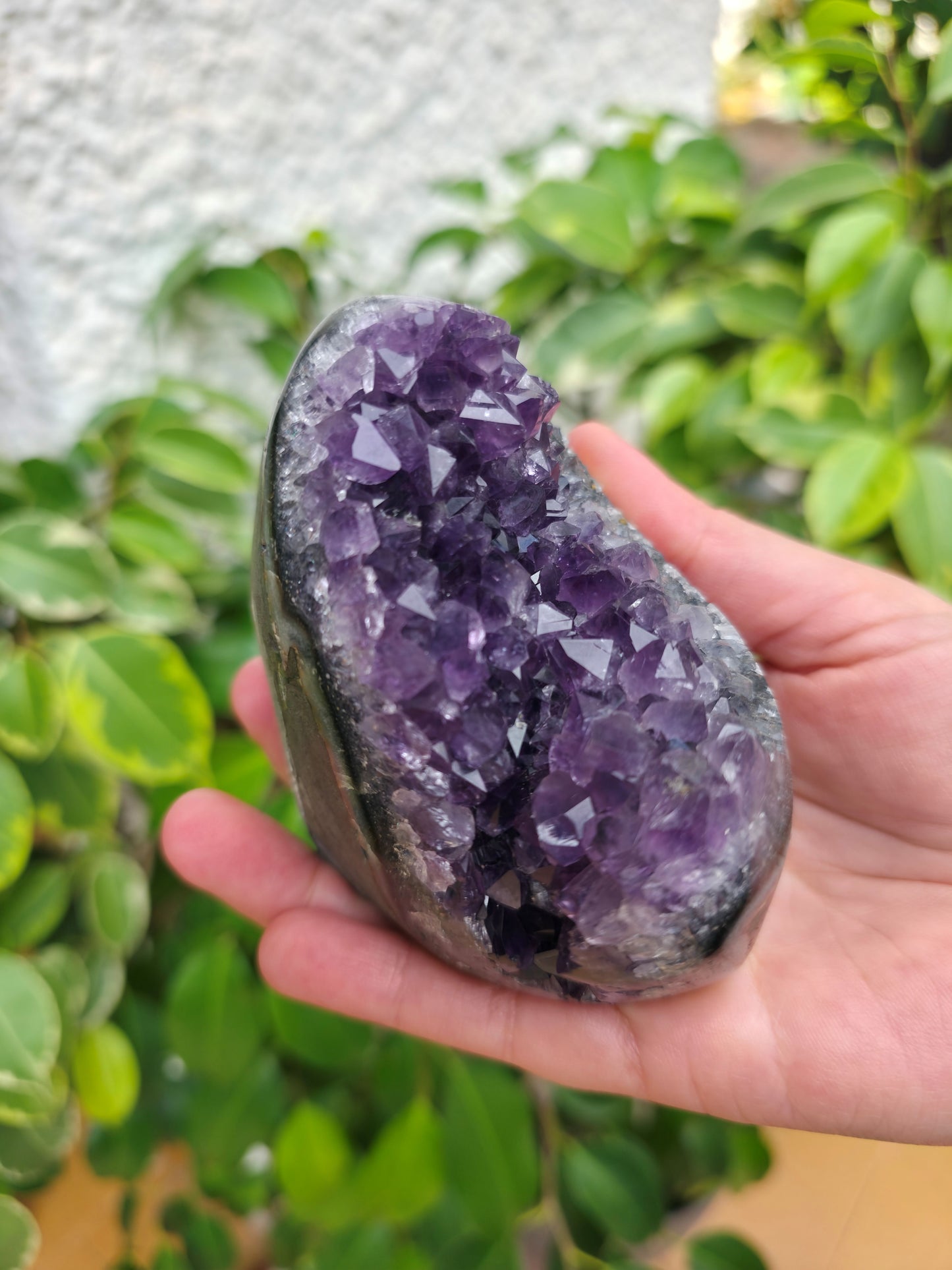 Drusa de Amatista Natural en Bruto – Calidad AA (200 a 700 g)