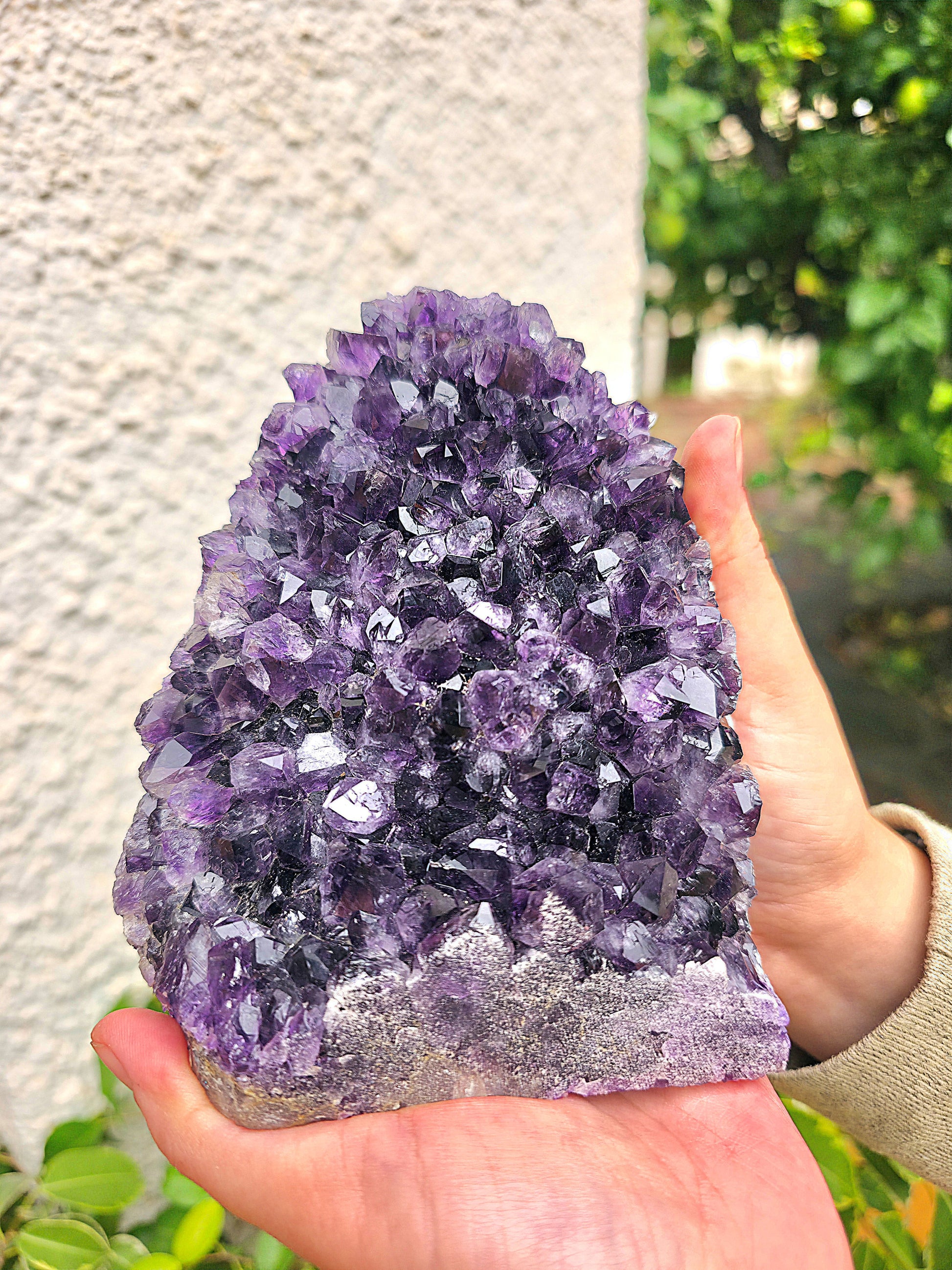 Drusa Amatista AAA aprox. 1500 g. Calidad super extra 1