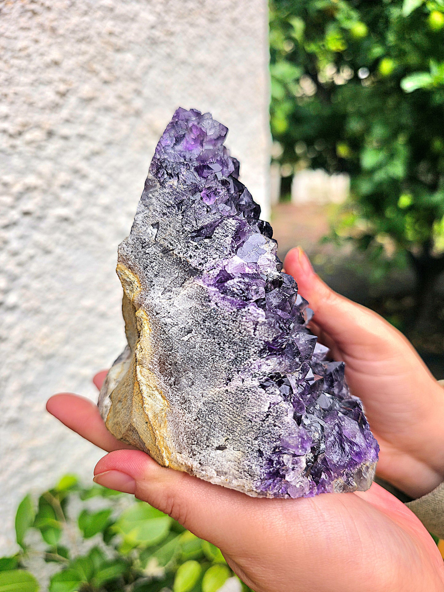 Drusa Amatista AAA aprox. 1500 g. Calidad super extra 2