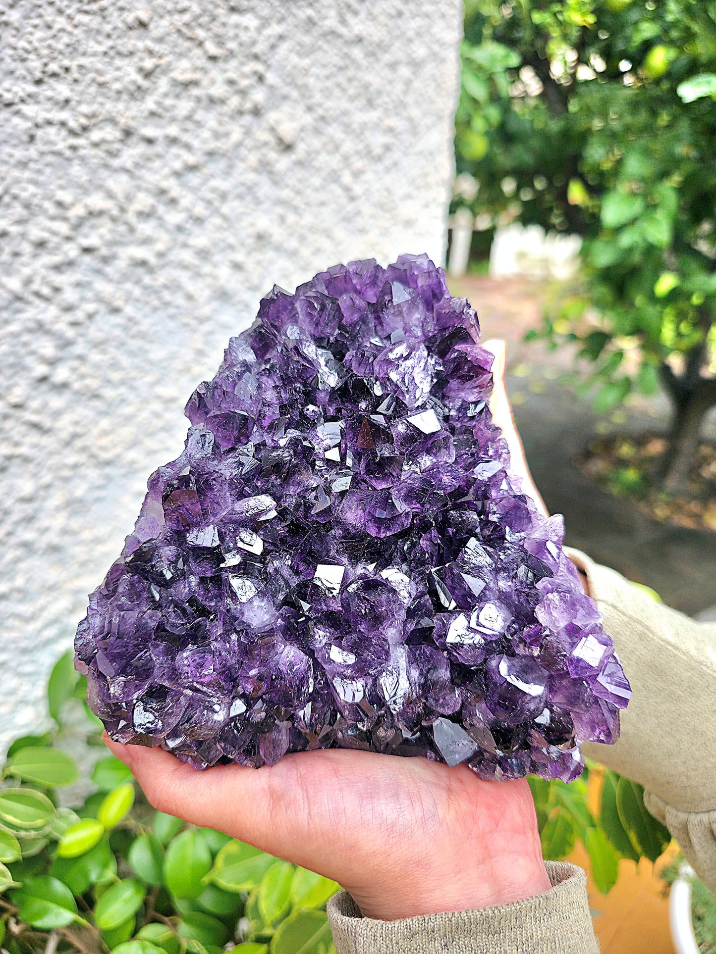 Drusa de amatista de Uruguay AAA 14,5 x 14,5 cm 2794 g cerca