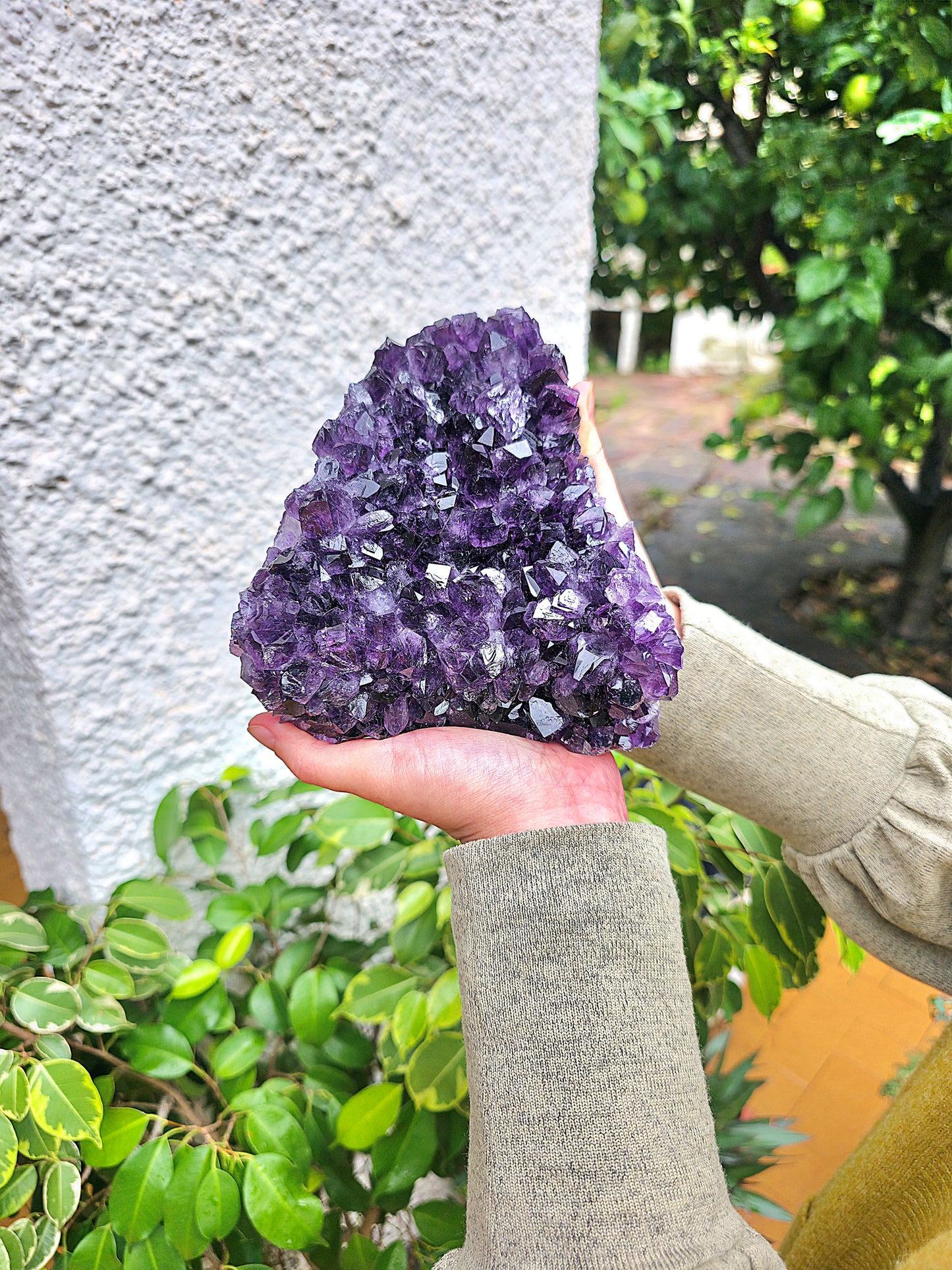 Drusa de amatista de Uruguay AAA 14,5 x 14,5 cm 2794 g lejos