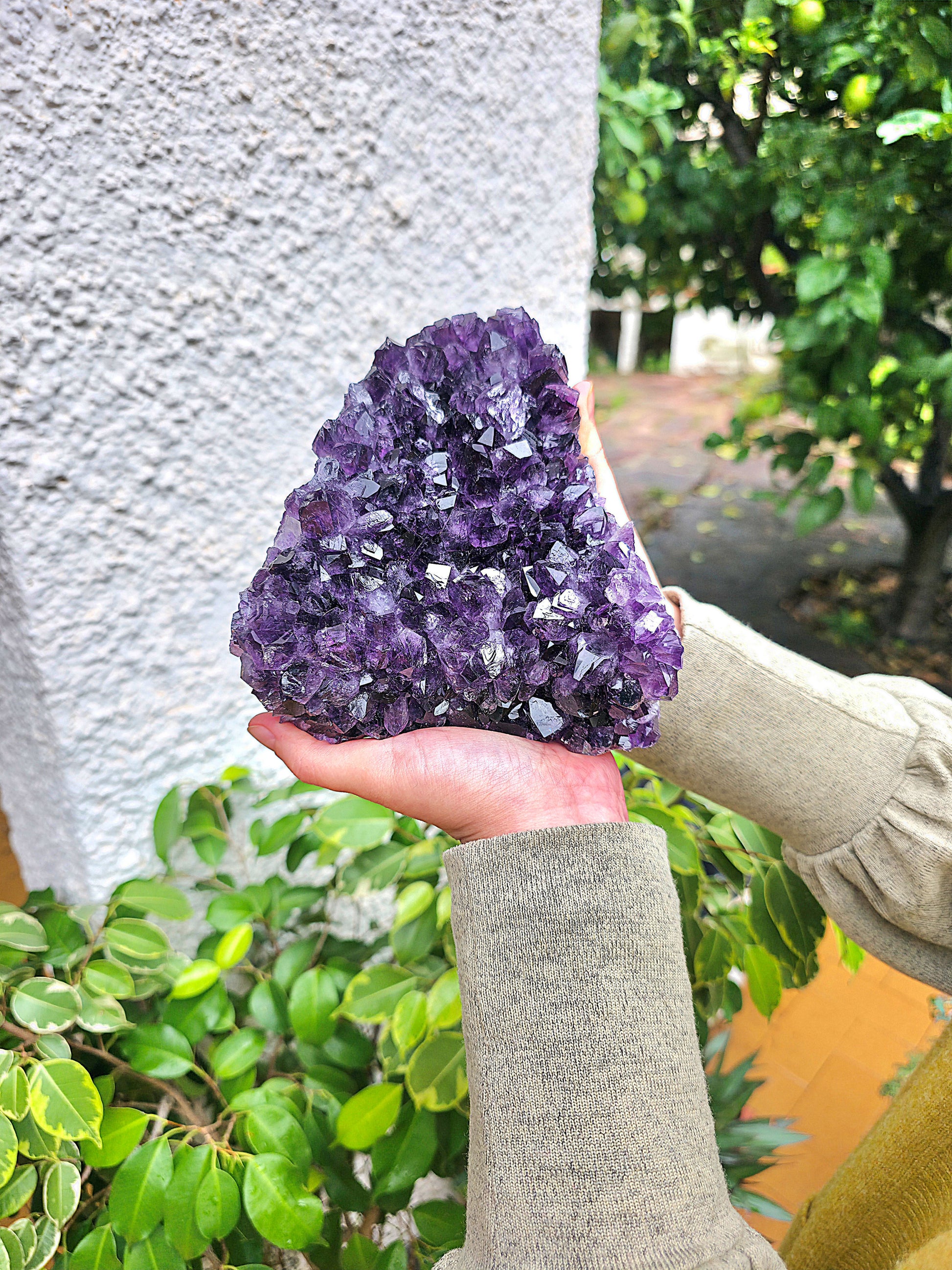 Drusa de amatista de Uruguay AAA 14,5 x 14,5 cm 2794 g lejos