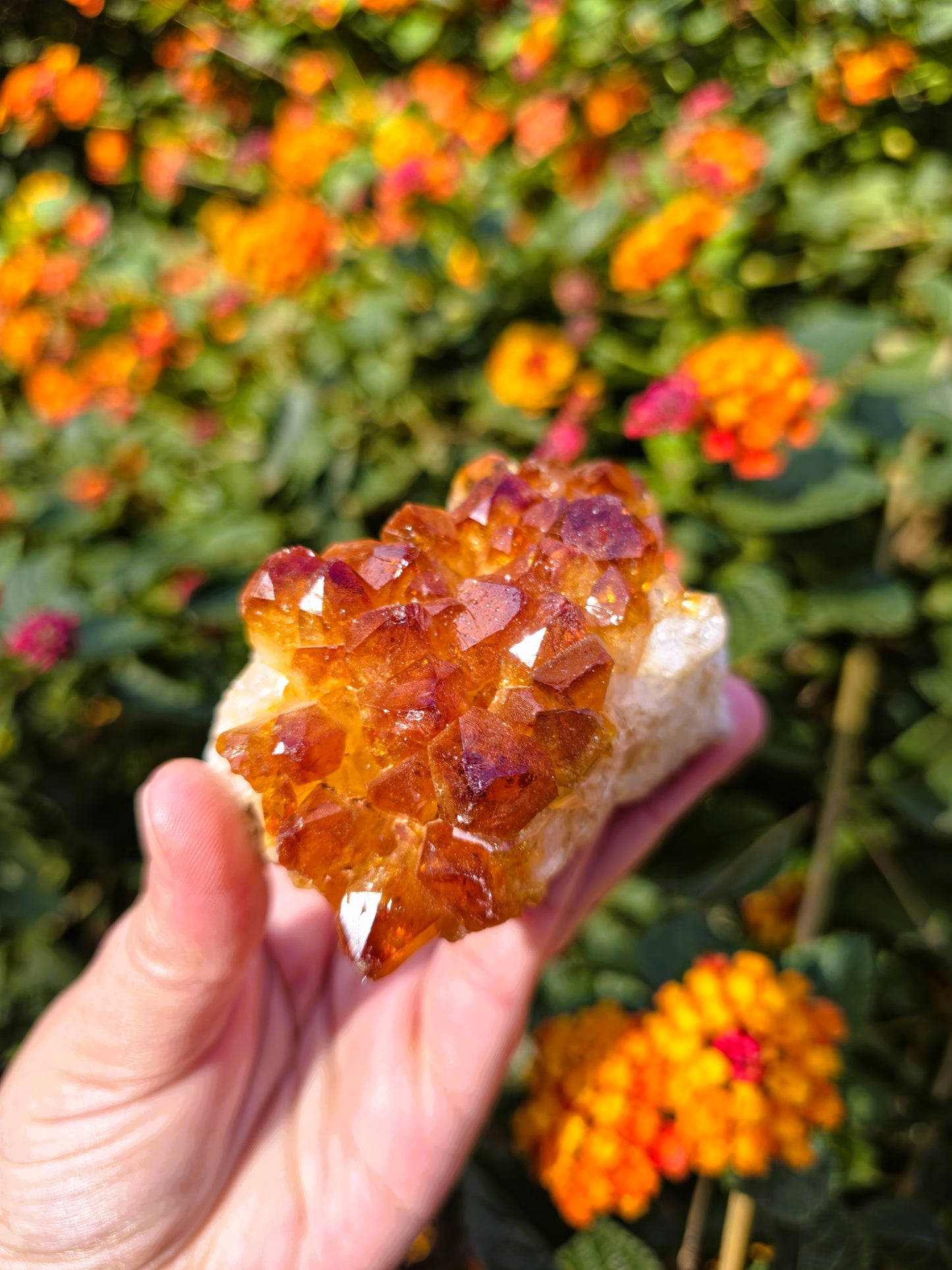 mineral decorativo citrino exclusivo