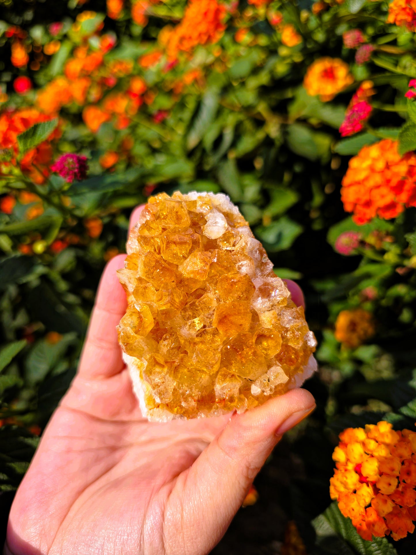 drusa citrino calidad extra premium