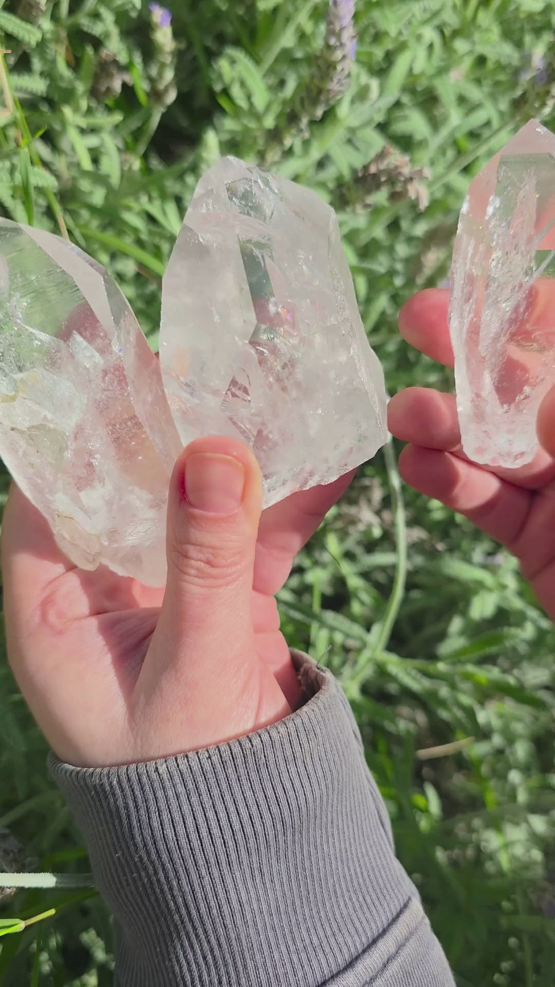 Video detalle de puntas de cuarzo lemuriano. Cuarzo Maestro