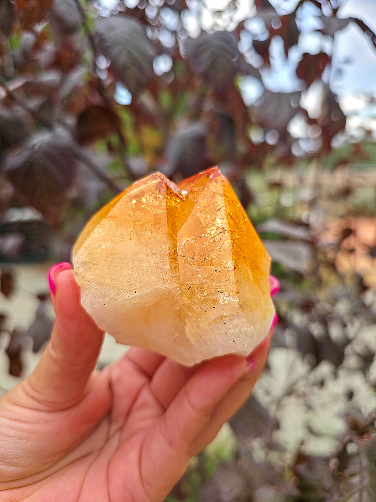 Puntas de citrino natural semipulidas medianas pieza 2 doble punta