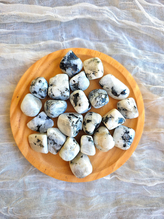 Rodados de piedra luna calidad extra de 2 a 3 cm por pieza.